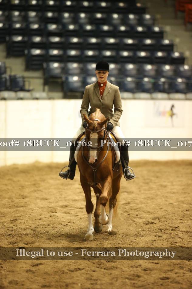 Proof 18BUCK_01762