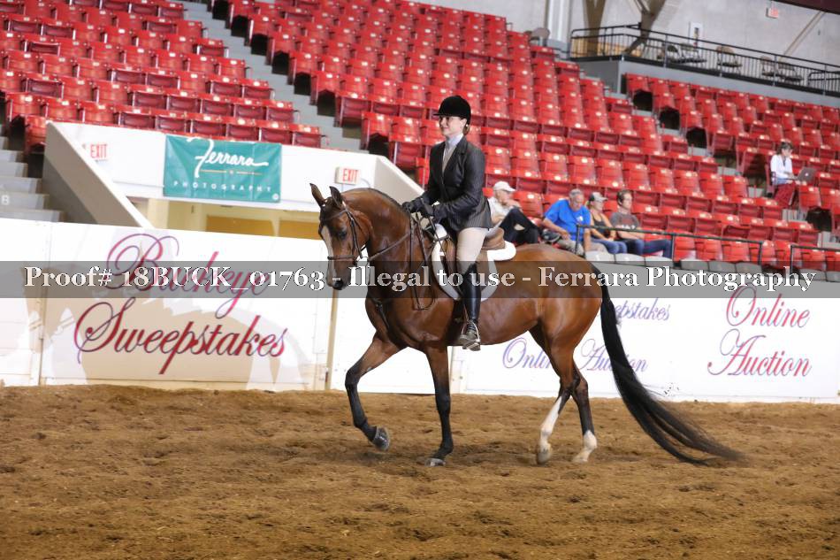 Proof 18BUCK_01763