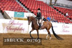 18BUCK_01763 proof