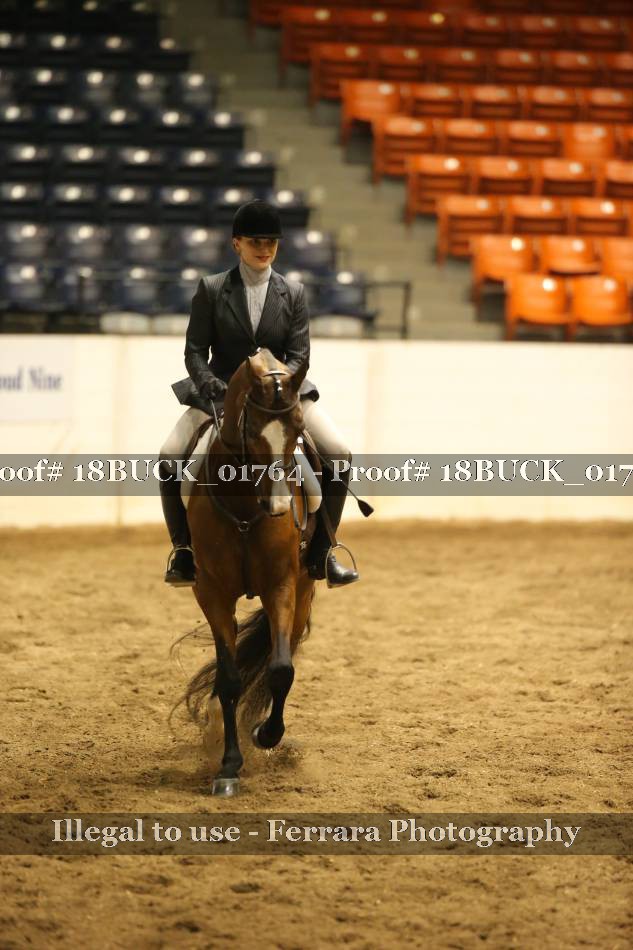 Proof 18BUCK_01764