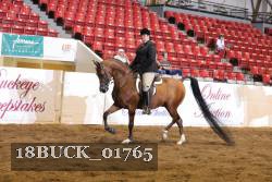 18BUCK_01765 proof