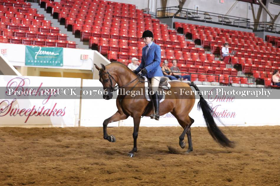 Proof 18BUCK_01766