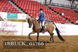 18BUCK_01766 proof