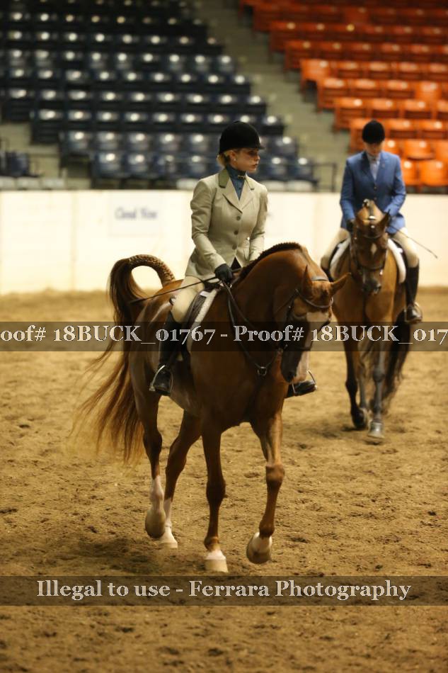 Proof 18BUCK_01767