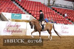 18BUCK_01768 proof
