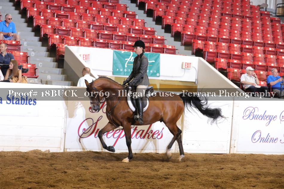 Proof 18BUCK_01769
