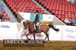 18BUCK_01769 proof