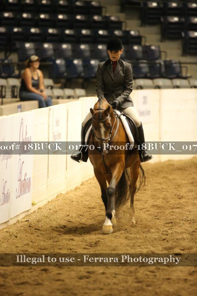 Proof 18BUCK_01770