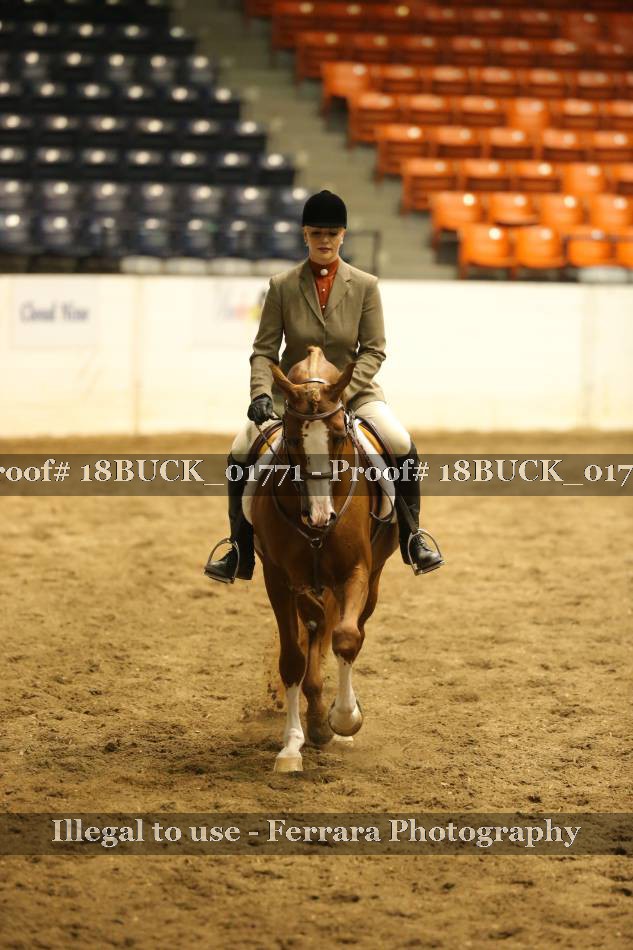 Proof 18BUCK_01771