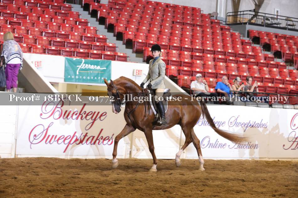 Proof 18BUCK_01772