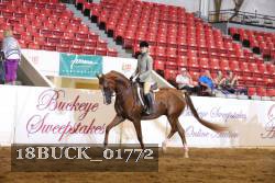 18BUCK_01772 proof