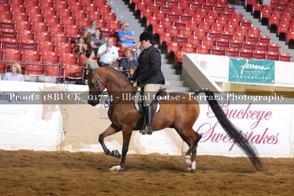 Proof 18BUCK_01774