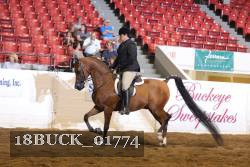 18BUCK_01774 proof