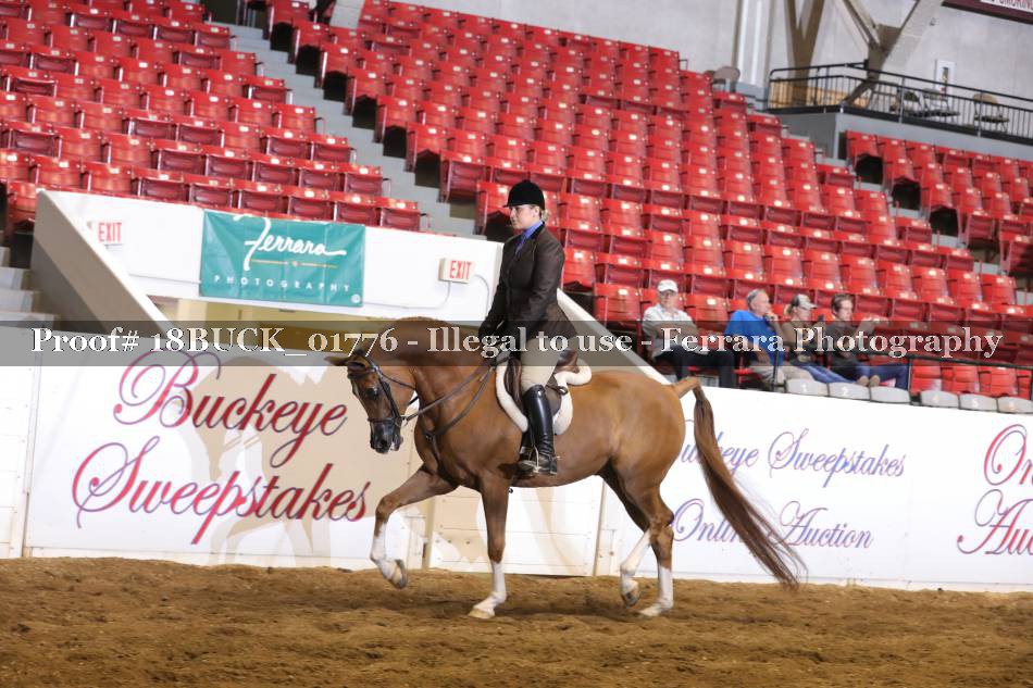 Proof 18BUCK_01776