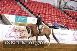 18BUCK_01776 proof