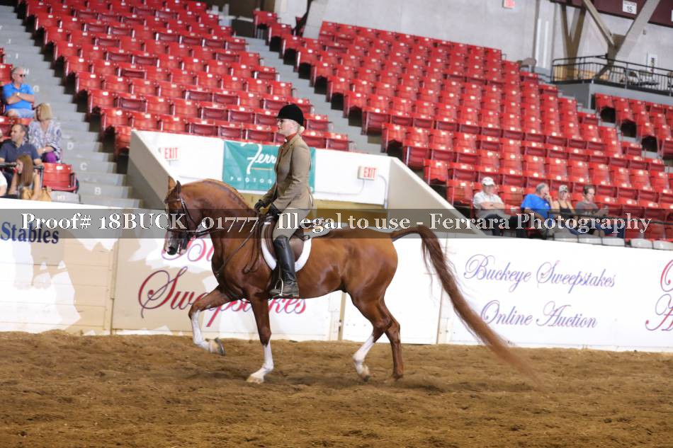Proof 18BUCK_01777