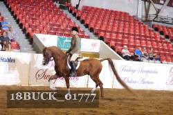 18BUCK_01777 proof