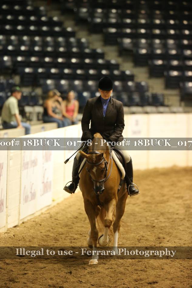 Proof 18BUCK_01778