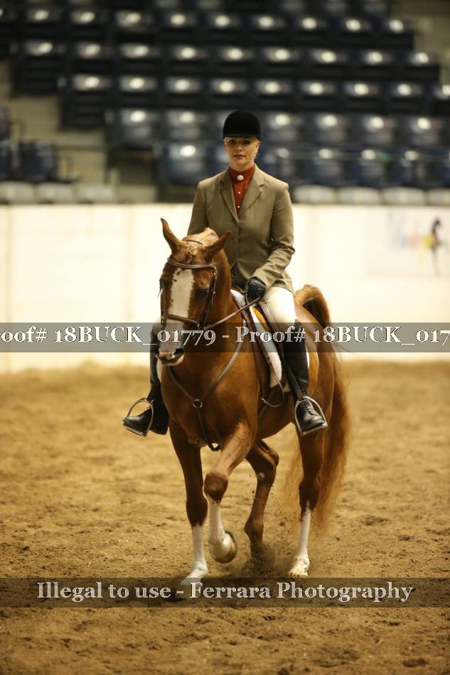 Proof 18BUCK_01779