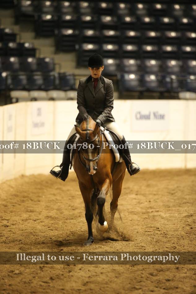 Proof 18BUCK_01780