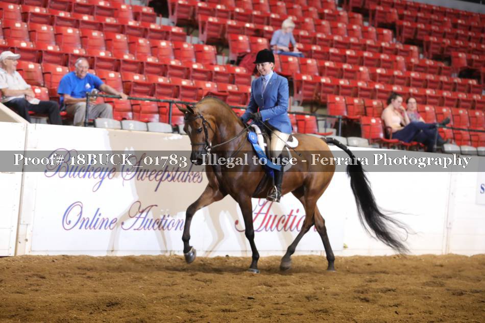 Proof 18BUCK_01783