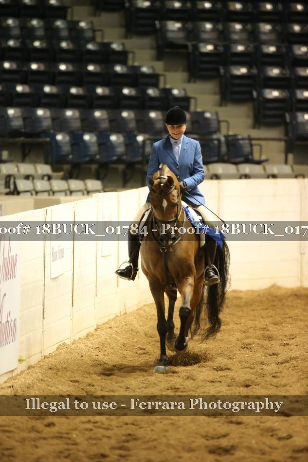 Proof 18BUCK_01784