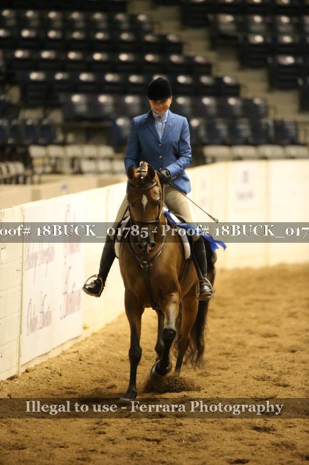 Proof 18BUCK_01785