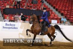18BUCK_01786 proof