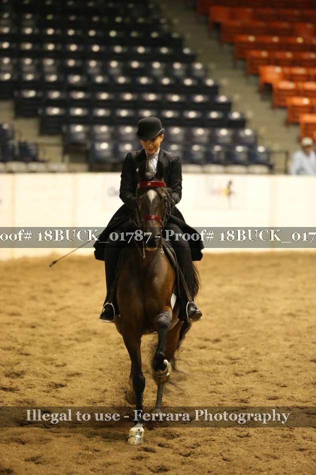 Proof 18BUCK_01787