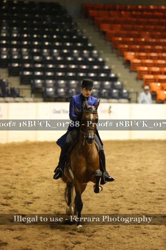 Proof 18BUCK_01788