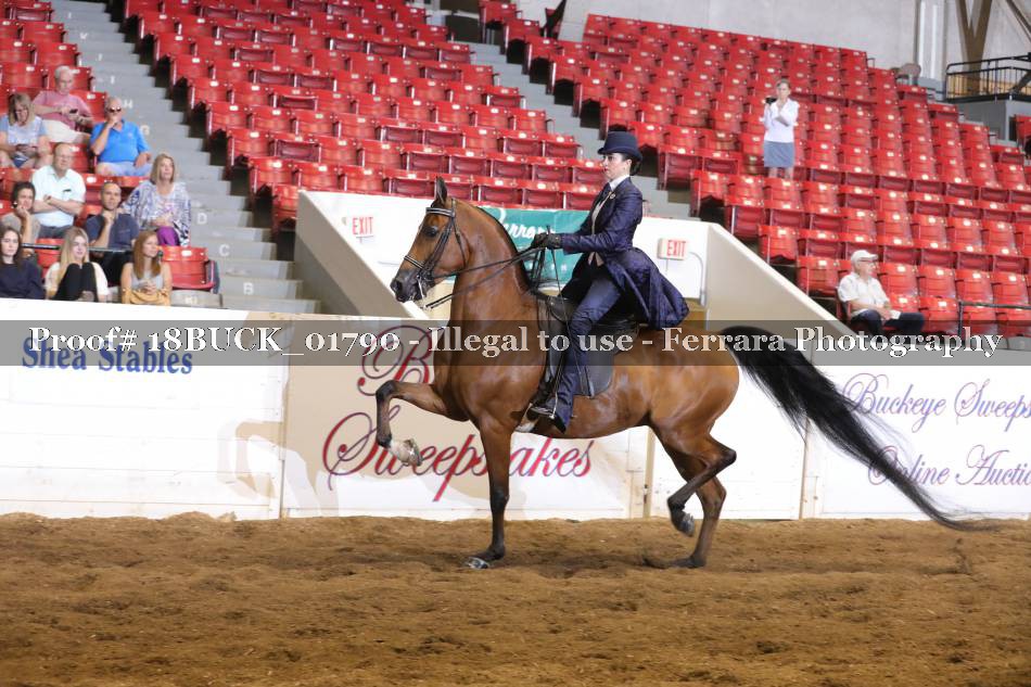 Proof 18BUCK_01790