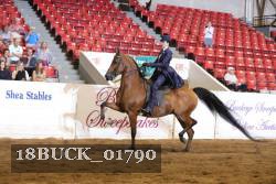 18BUCK_01790 proof