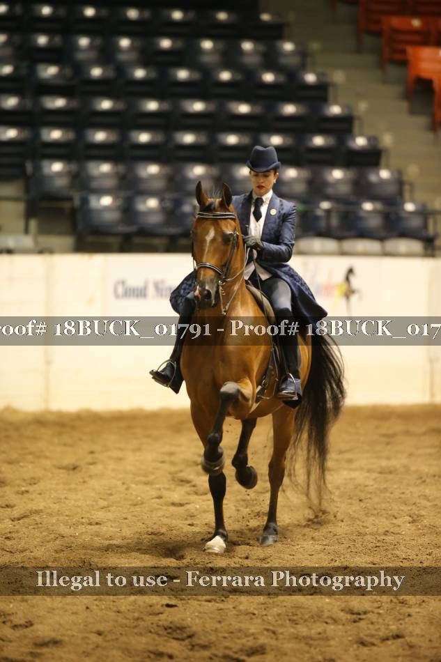 Proof 18BUCK_01791