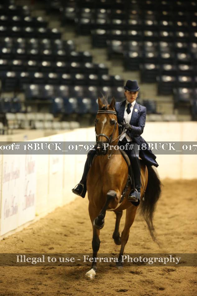 Proof 18BUCK_01792