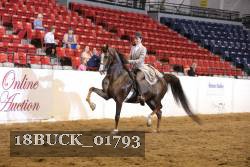 18BUCK_01793 proof