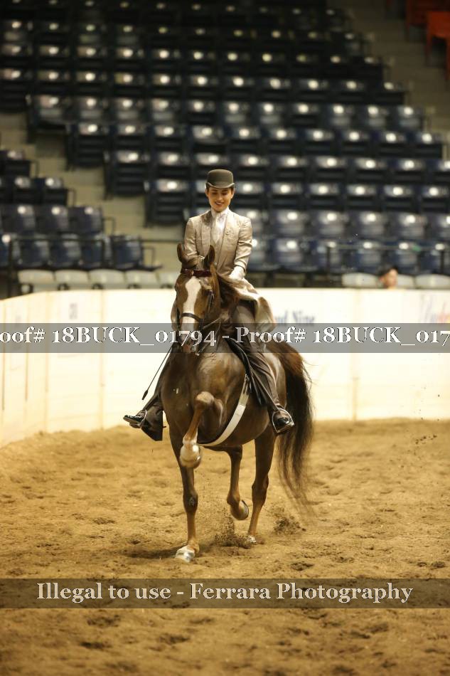 Proof 18BUCK_01794