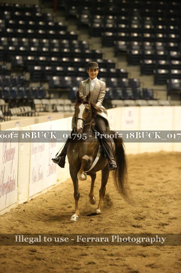Proof 18BUCK_01795