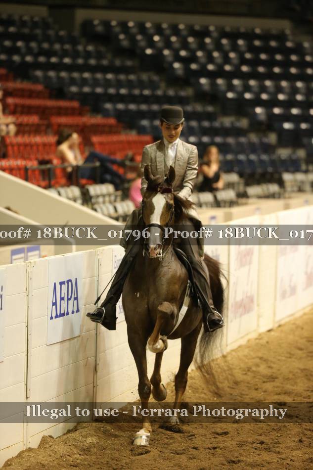 Proof 18BUCK_01796