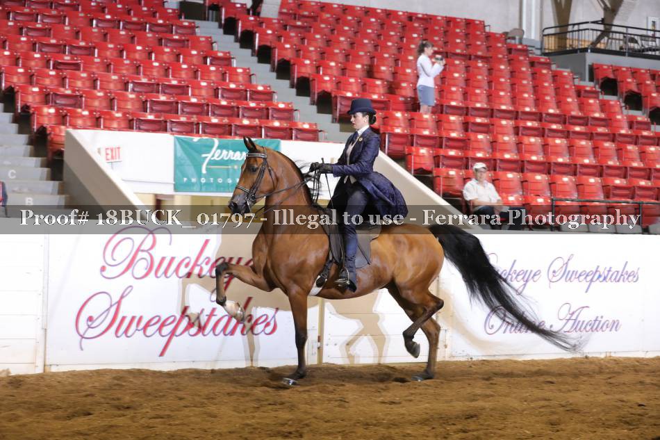 Proof 18BUCK_01797