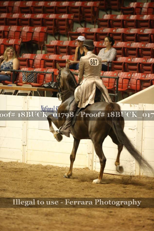 Proof 18BUCK_01798
