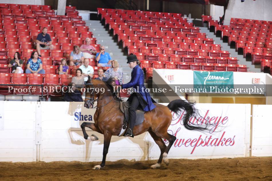 Proof 18BUCK_01799