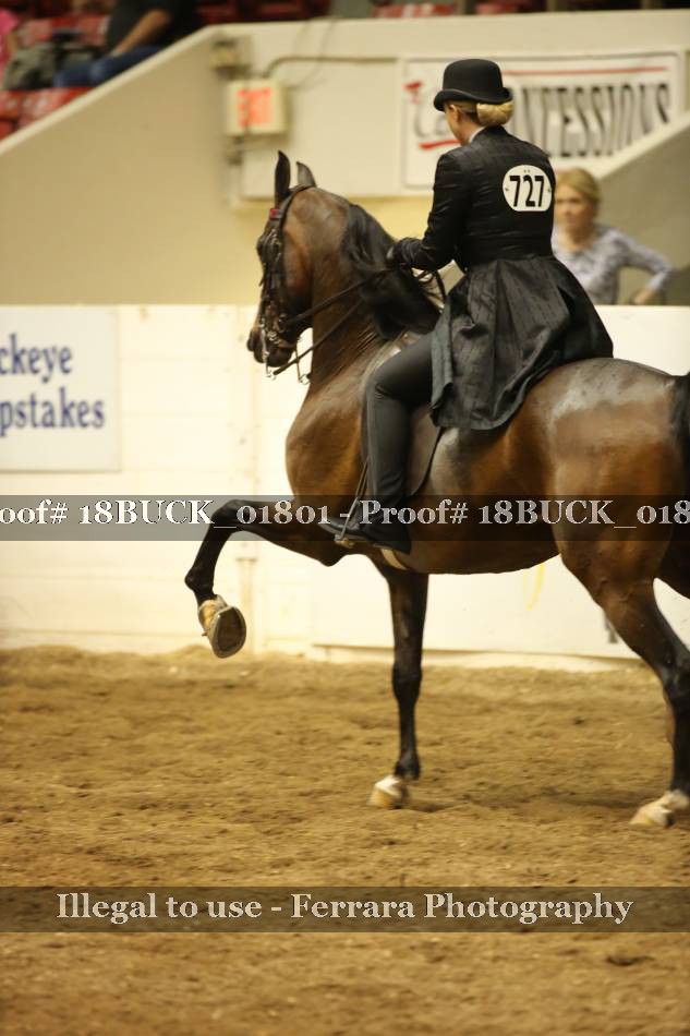 Proof 18BUCK_01801
