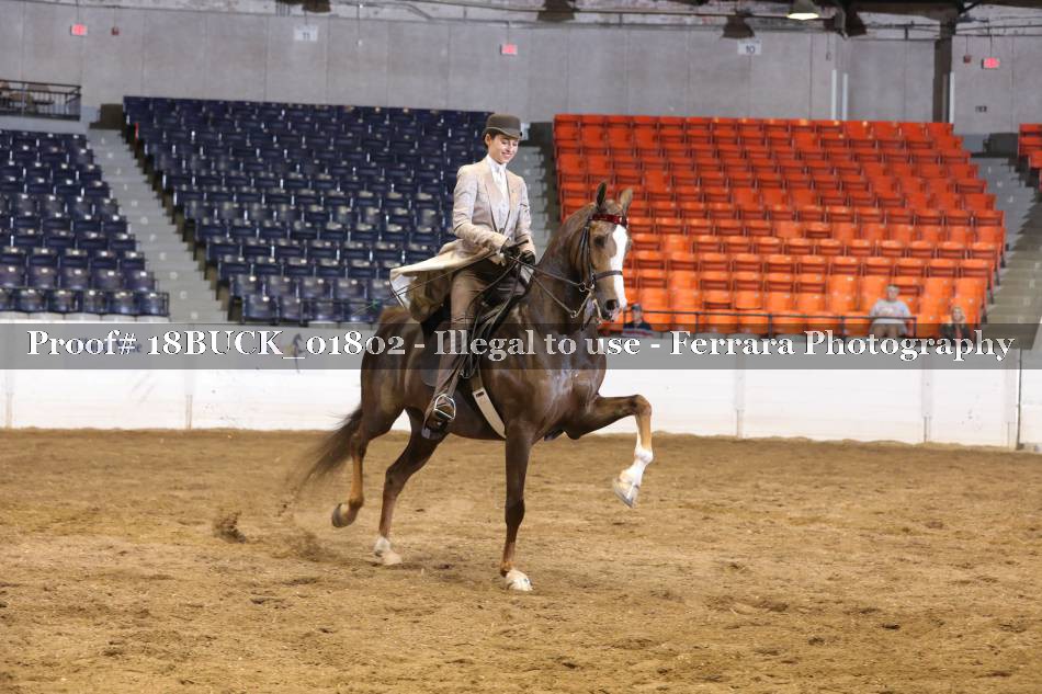 Proof 18BUCK_01802