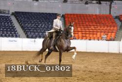 18BUCK_01802 proof