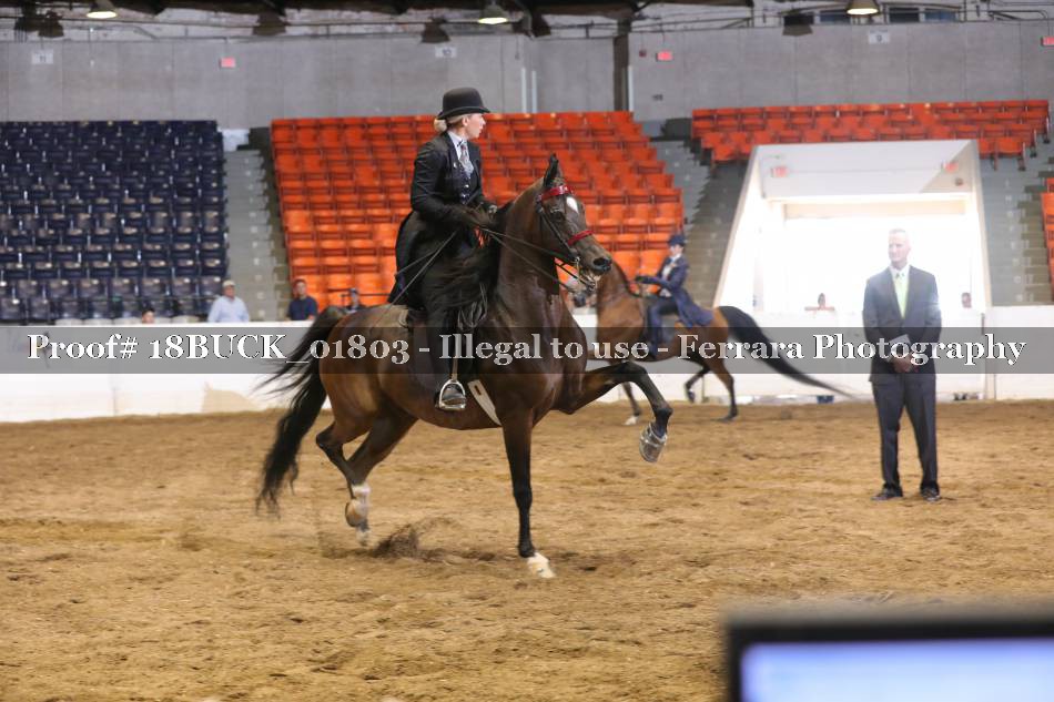Proof 18BUCK_01803