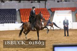18BUCK_01803 proof