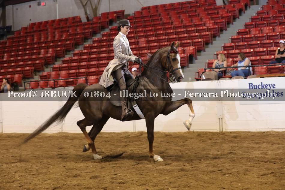 Proof 18BUCK_01804