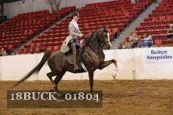 18BUCK_01804 proof