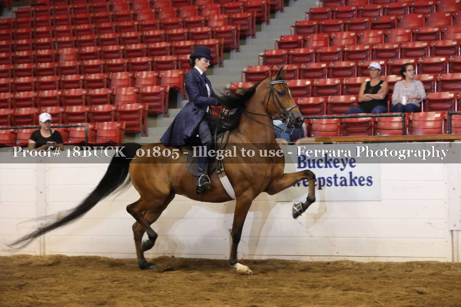 Proof 18BUCK_01805