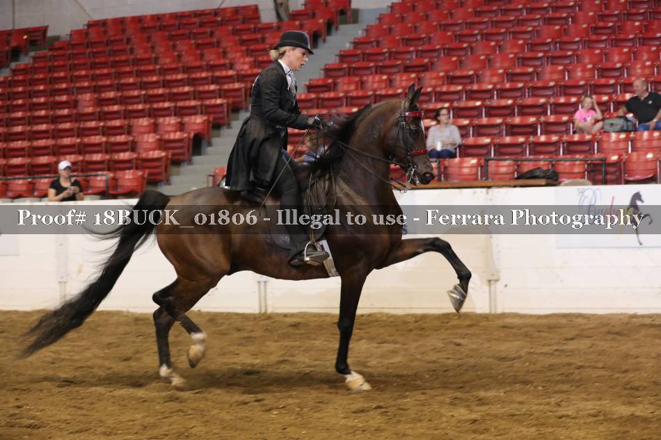 Proof 18BUCK_01806